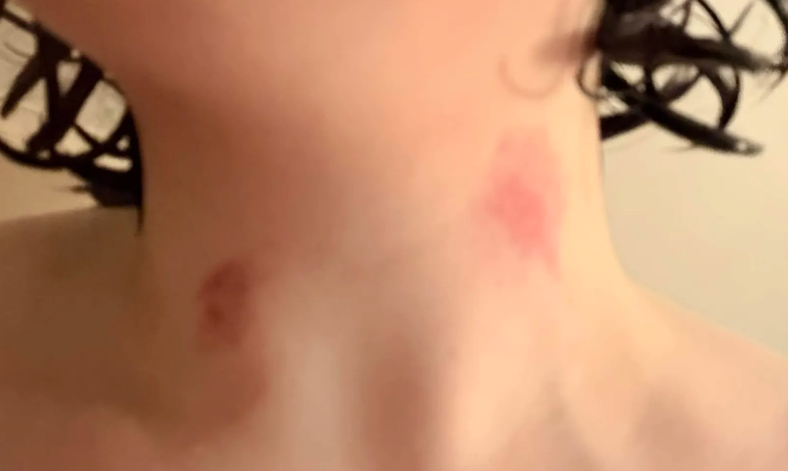 Свежие следы