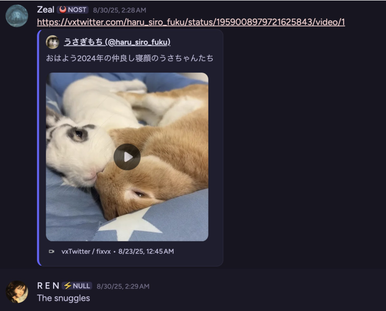 Обнимающиеся кролики - Wanna do this