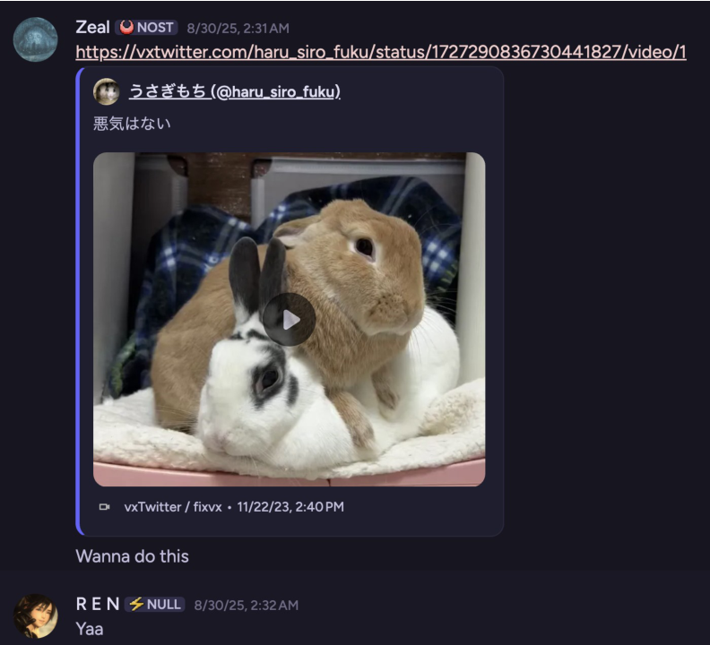 Кролики вместе - Wanna do this