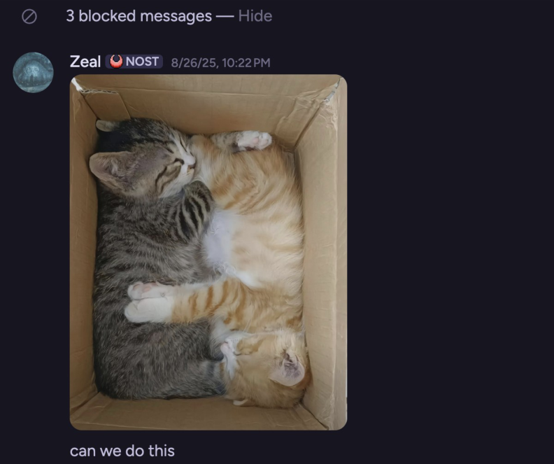 Фото котёнка - Can we do this